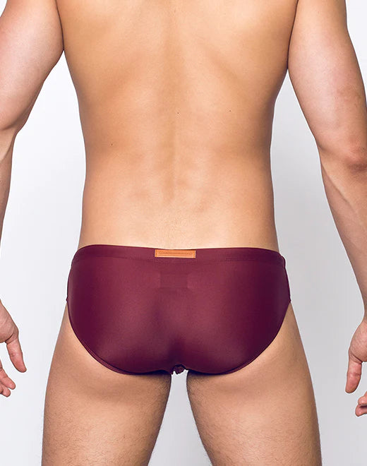 2eros Core swim brief tawny port