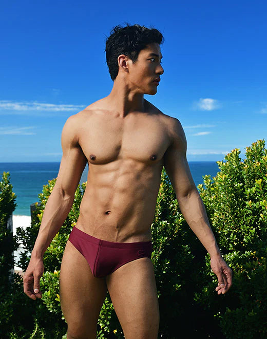 2eros Core swim brief tawny port