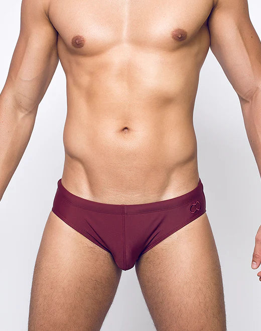 2eros Core swim brief tawny port