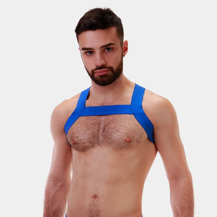 Barcode Berlin Matt harness blue