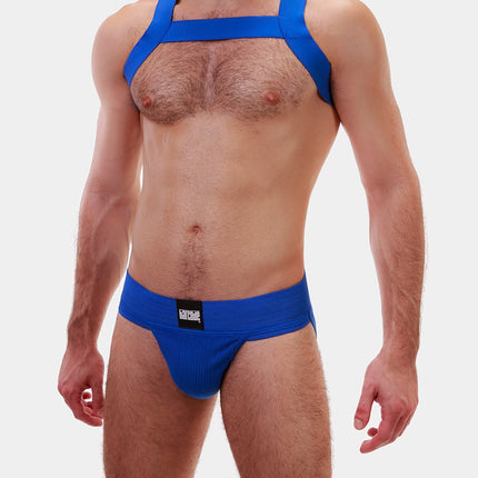 Barcode Berlin Matt harness blue