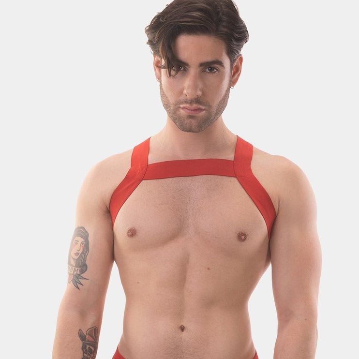 Barcode Berlin Matt harness red