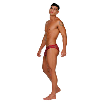 Gigo Alphamale brief lace wine