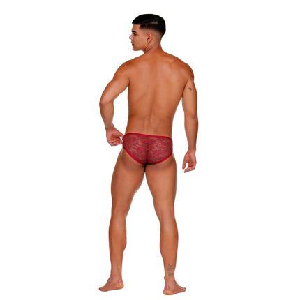 Gigo Alphamale brief lace wine