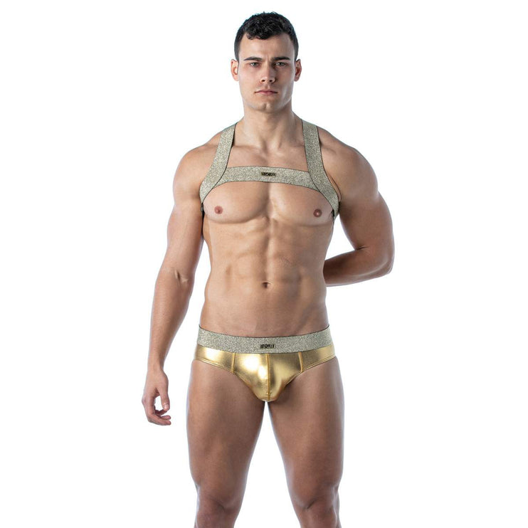 TOF Magic harness gold