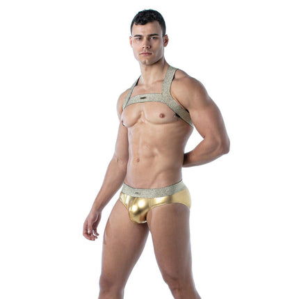 TOF Magic harness gold