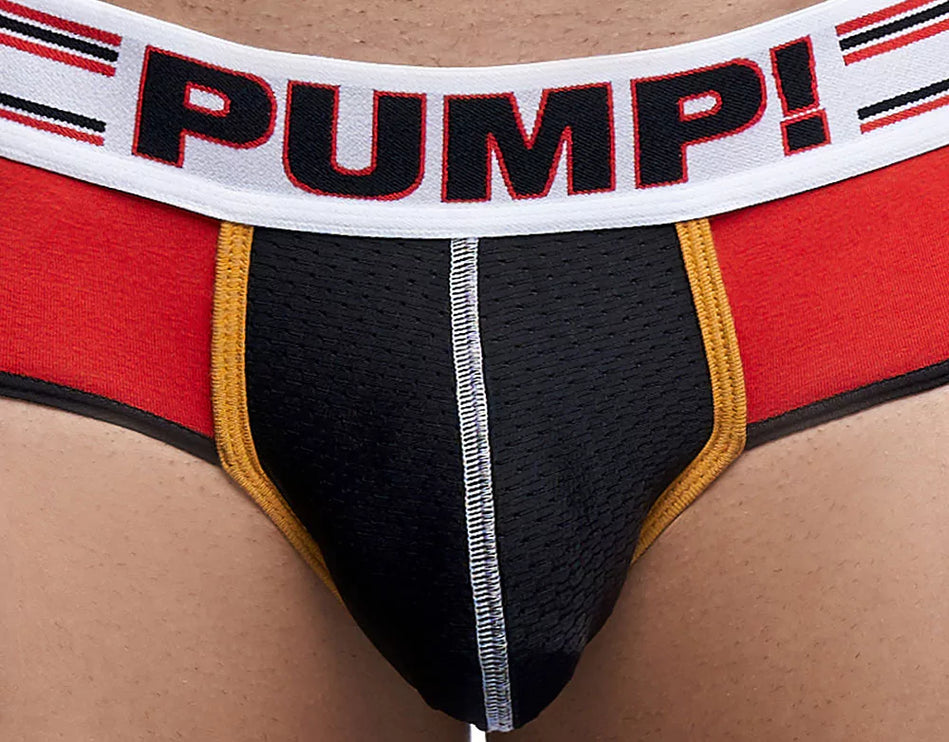 PUMP Circuit mesh brief